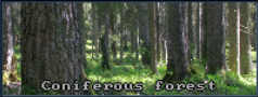 File:Terrain indicator Coniferous forest.png