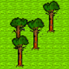 Pine Tree.png