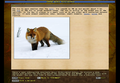 Game Encyclopedia red fox.png