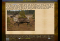 Game Encyclopedia forest reindeer.png