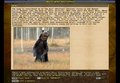 Game Encyclopedia bear.png