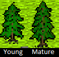 Spruce Tree.png