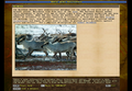 Game Encyclopedia reindeer.png