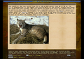 Game Encyclopedia lynx.png