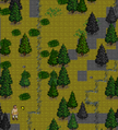 Coniferous forest stroll 01 3.52.png